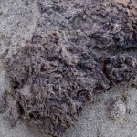 A 'blob' of basalt on the ground
